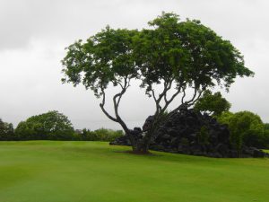 Mauritius - The Links