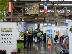 Rheingolf - Messehalle